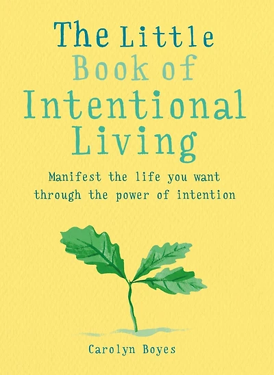 the Little Book of Intentional Living: Create life you want through power intention