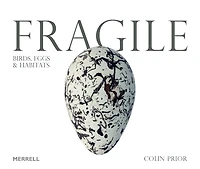 Fragile: Birds, Eggs and Habitats
