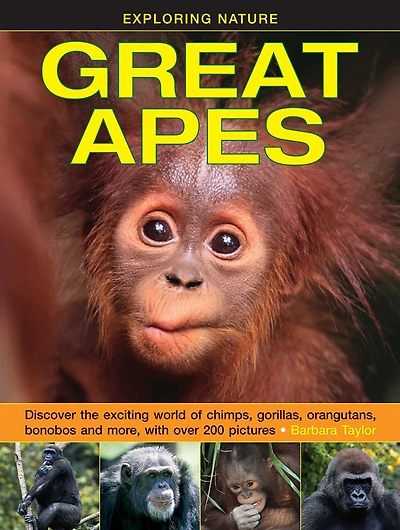 Great Apes: Discover the exciting world of chimps, gorillas, orangutans, bonobos and more, with over 200 pictures