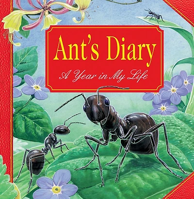 Ant's Diary: A Year In My Life