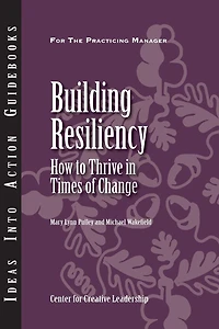 Building Resiliency: How to Thrive Times of Change