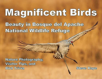 Magnificent Birds: Beauty in Bosque del Apache National Wildlife Refuge