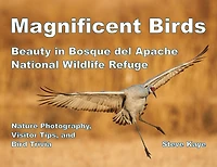Magnificent Birds: Beauty in Bosque del Apache National Wildlife Refuge