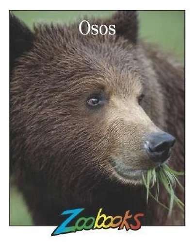 Osos