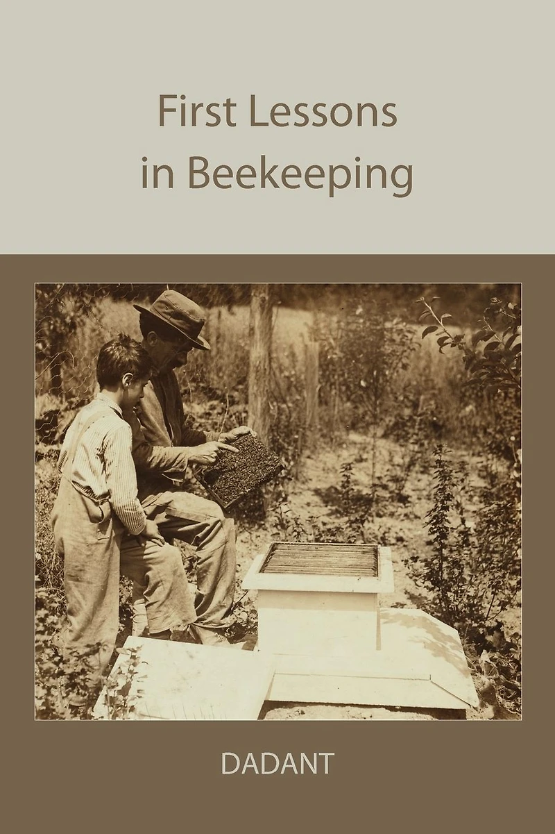 First Lessons Beekeeping