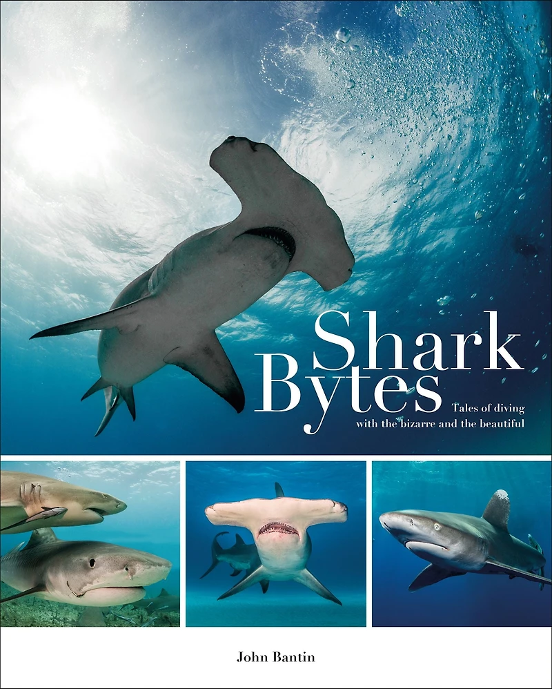 Shark Bytes: Tales of Diving with the Bizarre and Beautiful