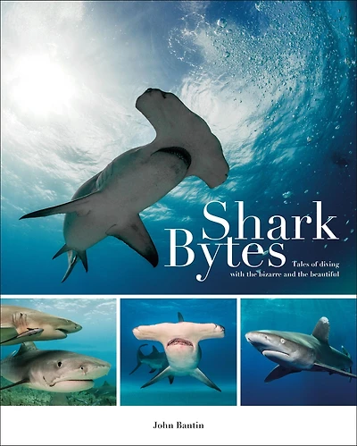 Shark Bytes: Tales of Diving with the Bizarre and Beautiful