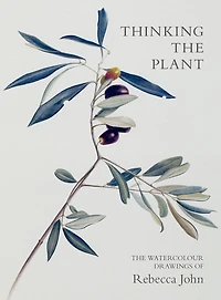 Thinking the Plant: The Watercolour Drawings of Rebecca John