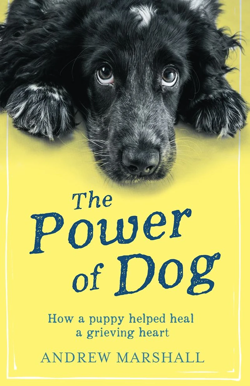 The Power of Dog: How a Puppy Helped Heal Grieving Heart