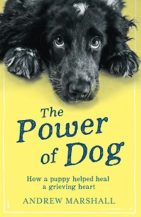 The Power of Dog: How a Puppy Helped Heal Grieving Heart