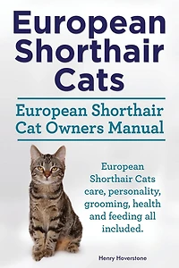 European Shorthair Cats. European Shorthair Cat Owners Manual. European Shorthair Cats care, personality, grooming, health and feeding all included.