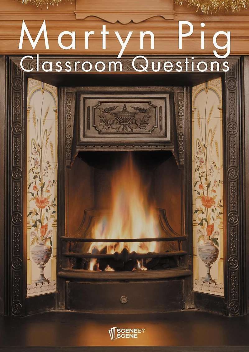 Martyn Pig Classroom Questions