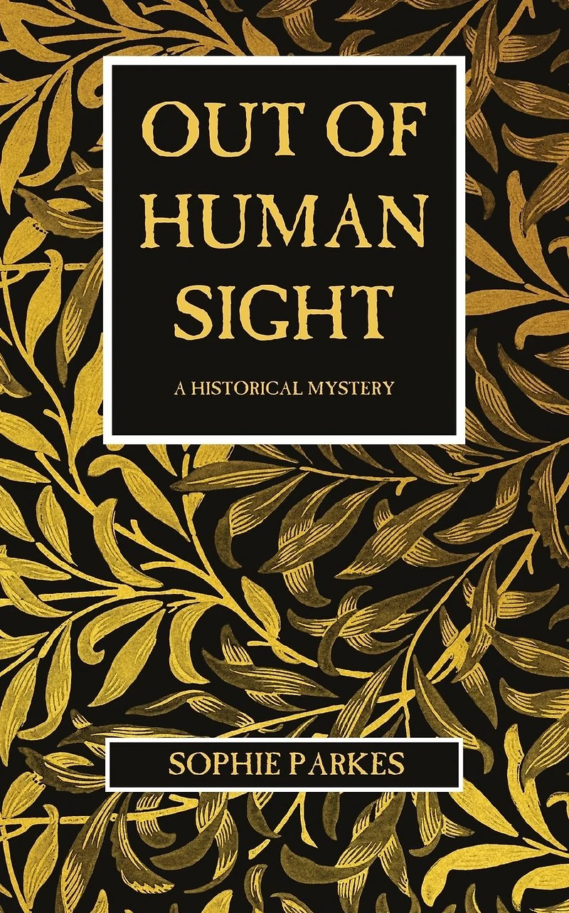 Out of Human Sight: A Historical Mystery