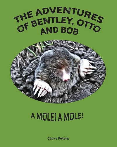 The Adventures of Bentley, Otto and Bob: A Mole! A Mole!