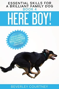 Here Boy!: Step-by-Step to a Stunning Recall from Your Brilliant Family Dog (Essential Skills for Series #4)