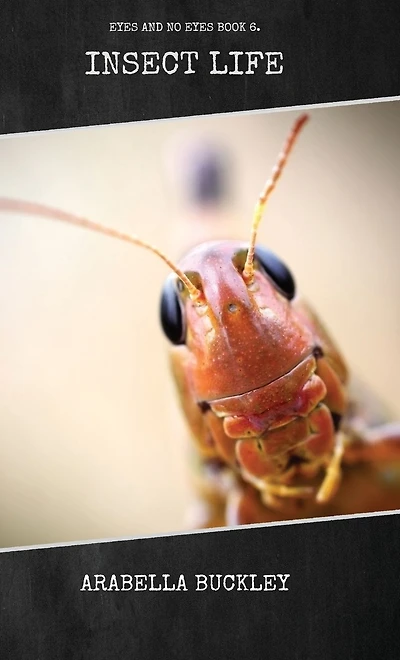 Insect Life (Yesterday's Classics)