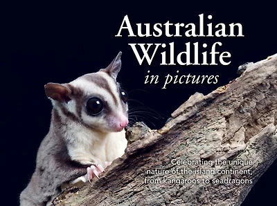 Australian Wildlife in Picture: Celebrating the unique nature of the island continent, from kangaroos to sea dragons