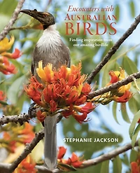 Encounters With Australian Birds: Finding inspirations from Australia's amazing birdlife