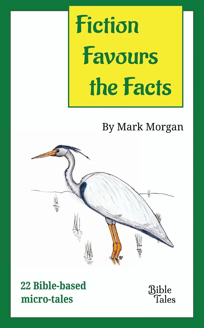 Fiction Favours the Facts: 22 Bible-based micro-tales