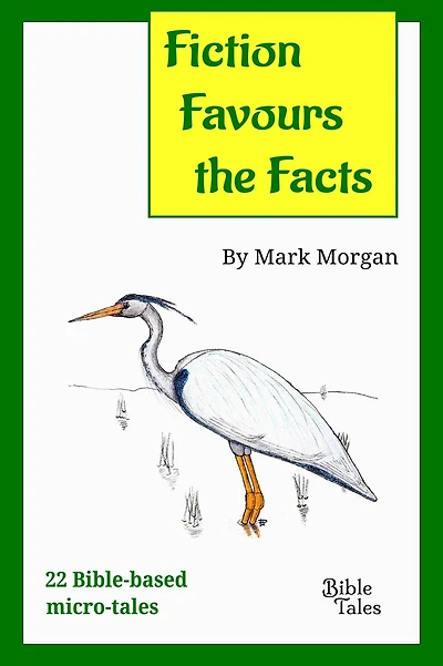 Fiction Favours the Facts: 22 Bible-based micro-tales