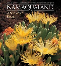 Namaqualand: A Succulent Desert