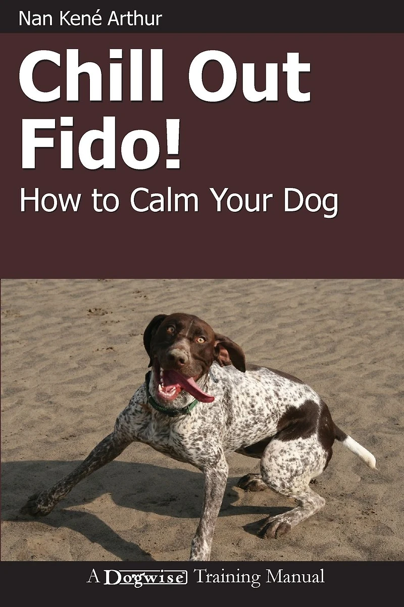 Chill Out Fido! - How To Calm Your Dog
