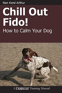 Chill Out Fido! - How To Calm Your Dog