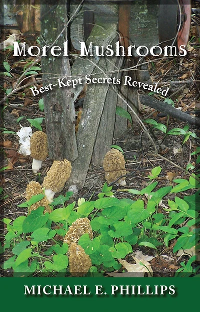 Morel Mushrooms: Best-Kept Secrets Revealed