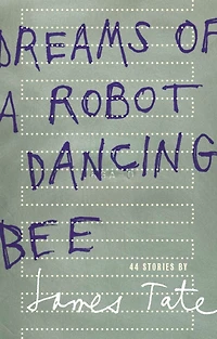 Dreams of a Robot Dancing Bee: 44 Stories