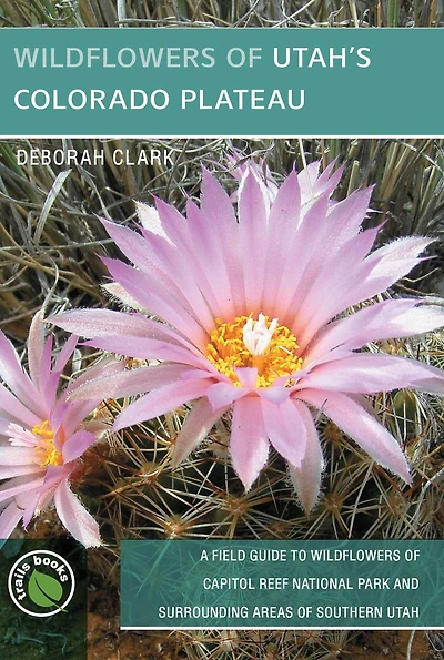 Wildflowers of Utah's Colorado Plateau