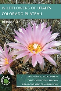 Wildflowers of Utah's Colorado Plateau