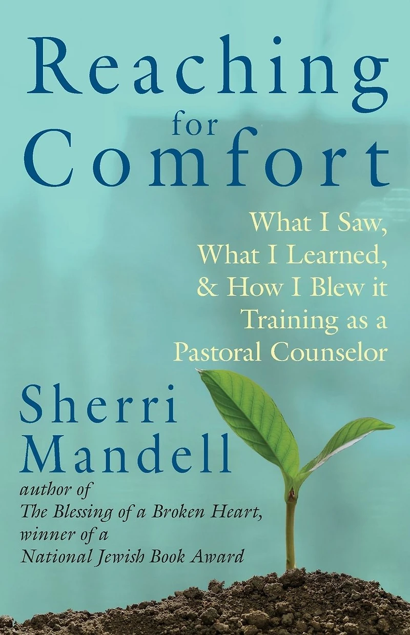 Reaching for Comfort: What I Saw, Learned, and How Blew it Training as a Pastoral Counselor