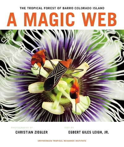A Magic Web: The Tropical Forest of Barro Colorado Island