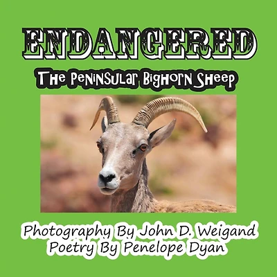 Endangered--The Peninsular Bighorn Sheep