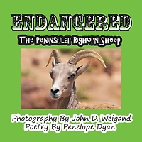 Endangered--The Peninsular Bighorn Sheep