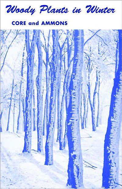 Woody Plants Winter