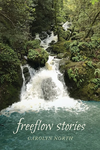 Freeflow Stories: Musings on the Passing Scene: 2018-2022