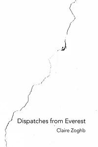 Dispatches from Everest