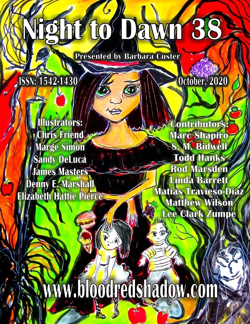 Night to Dawn 38