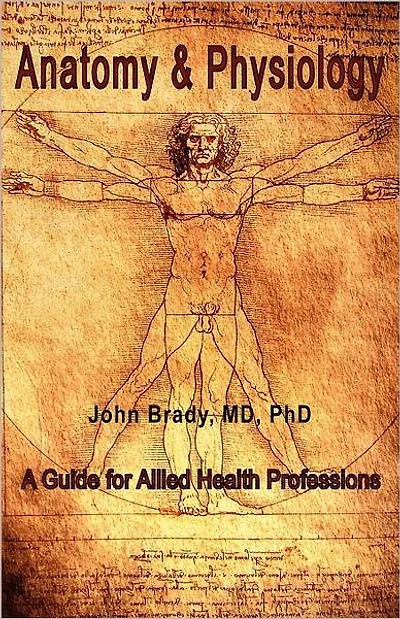 Anatomy And Physiology