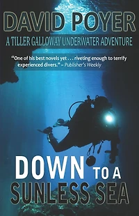Down to a Sunless Sea (Tiller Galloway Series #4)
