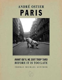 Paris, Before it is Too Late