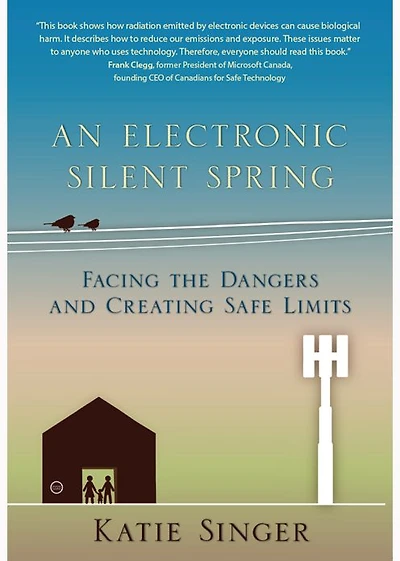 An Electronic Silent Spring: Facing the Dangers and Creating Safe Limits