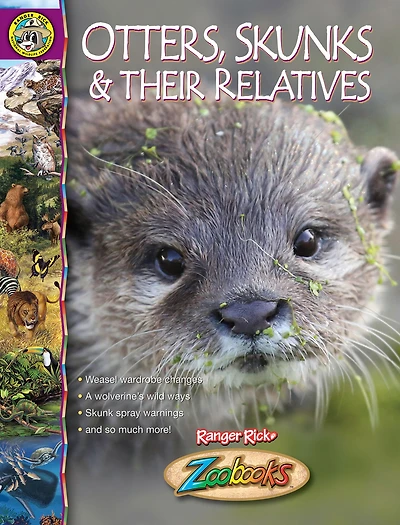 Otters, Skunks & Their Relatives