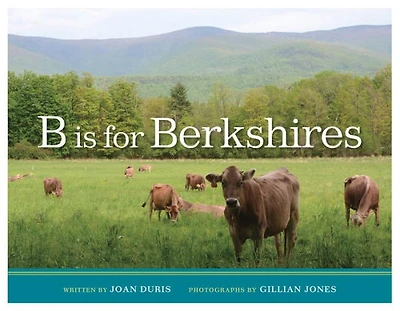 B is for Berkshires