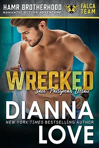 Wrecked: Slye Team Black Ops (Romantic Action Adventure), HAMR Brotherhood