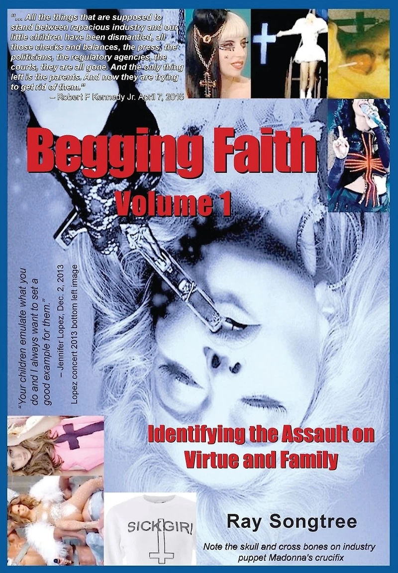 Begging Faith (Vol. 1, Lipstick and War Crimes Series): Identifying the Assault on Virtue Family