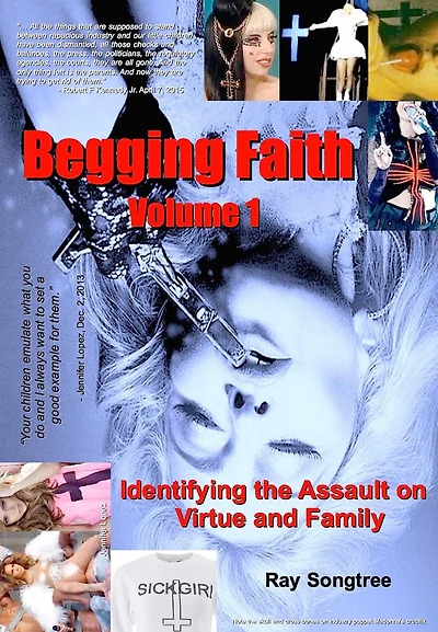 Begging Faith (Vol. 1, Lipstick and War Crimes Series): Identifying the Assault on Virtue Family