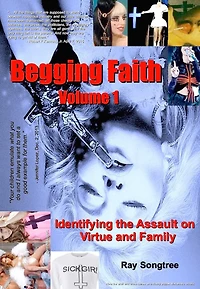 Begging Faith (Vol. 1, Lipstick and War Crimes Series): Identifying the Assault on Virtue Family