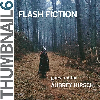 Thumbnail 6: Flash Fiction: Thumbnail Magazine